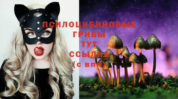 стаф Домодедово