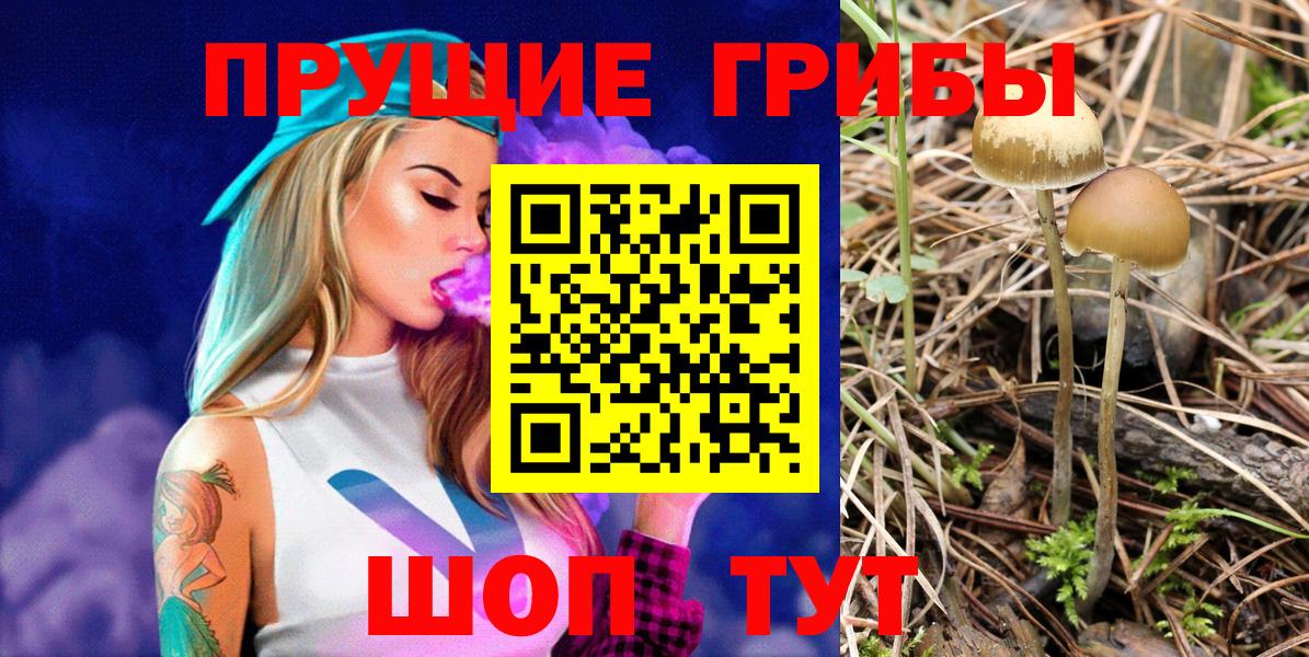 Псилоцибиновые грибы прущие грибы Губкинский