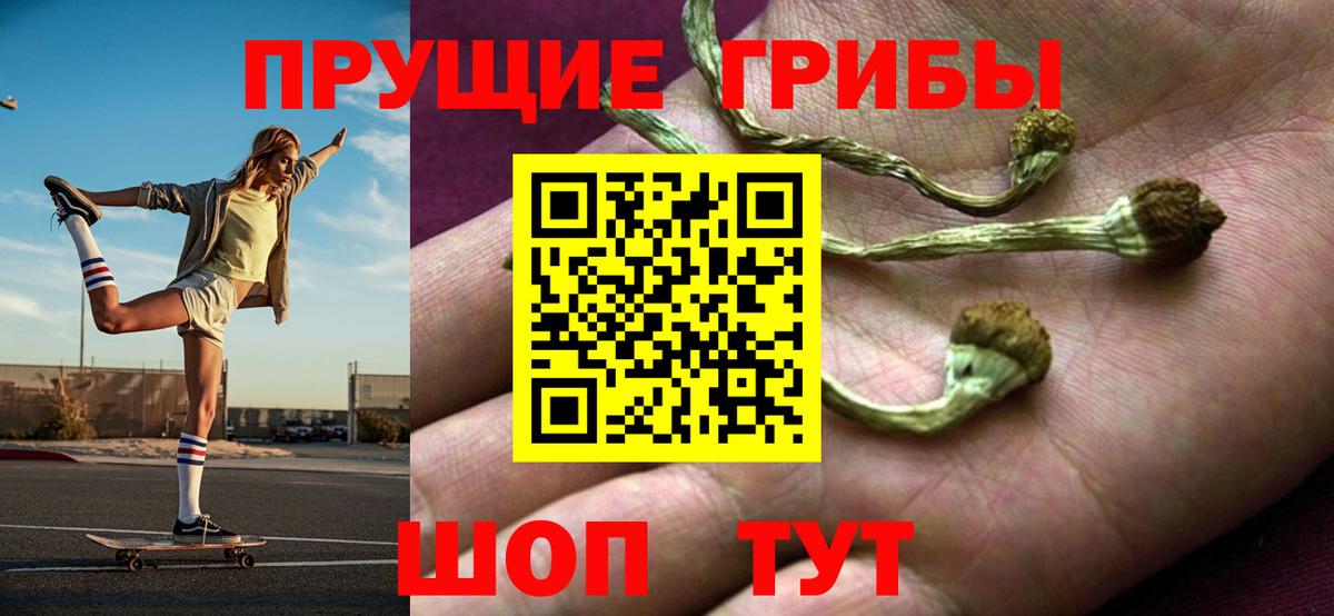 Губкинский  Псилоцибиновые грибы Cubensis  Вход с VPN  Псилоцибиновые грибы Psilocybe 
